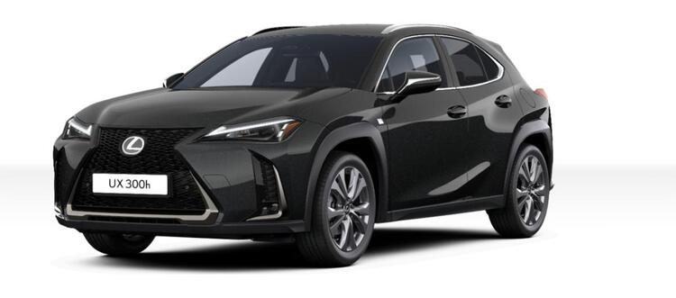 Lexus UX-300h F-Sport Design +Navi+R.Kam+div. Farben!!