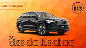 Skoda Kodiaq Selection 2,0 TDI 4x4 DSG 142 kW - sofort verfügbar!